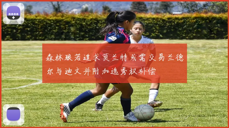 森林狼若追求莫兰特或需交易兰德尔与迪文并附加选秀权补偿